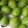 Feijoa