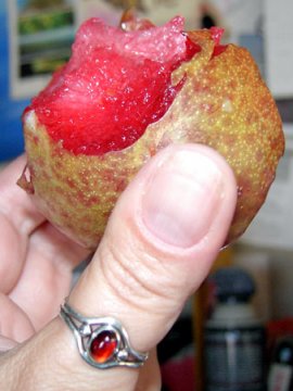 Pluot