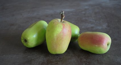 Appelboom 'Present van Engeland' - vanaf € 18,99 - Consumptieappelbomen